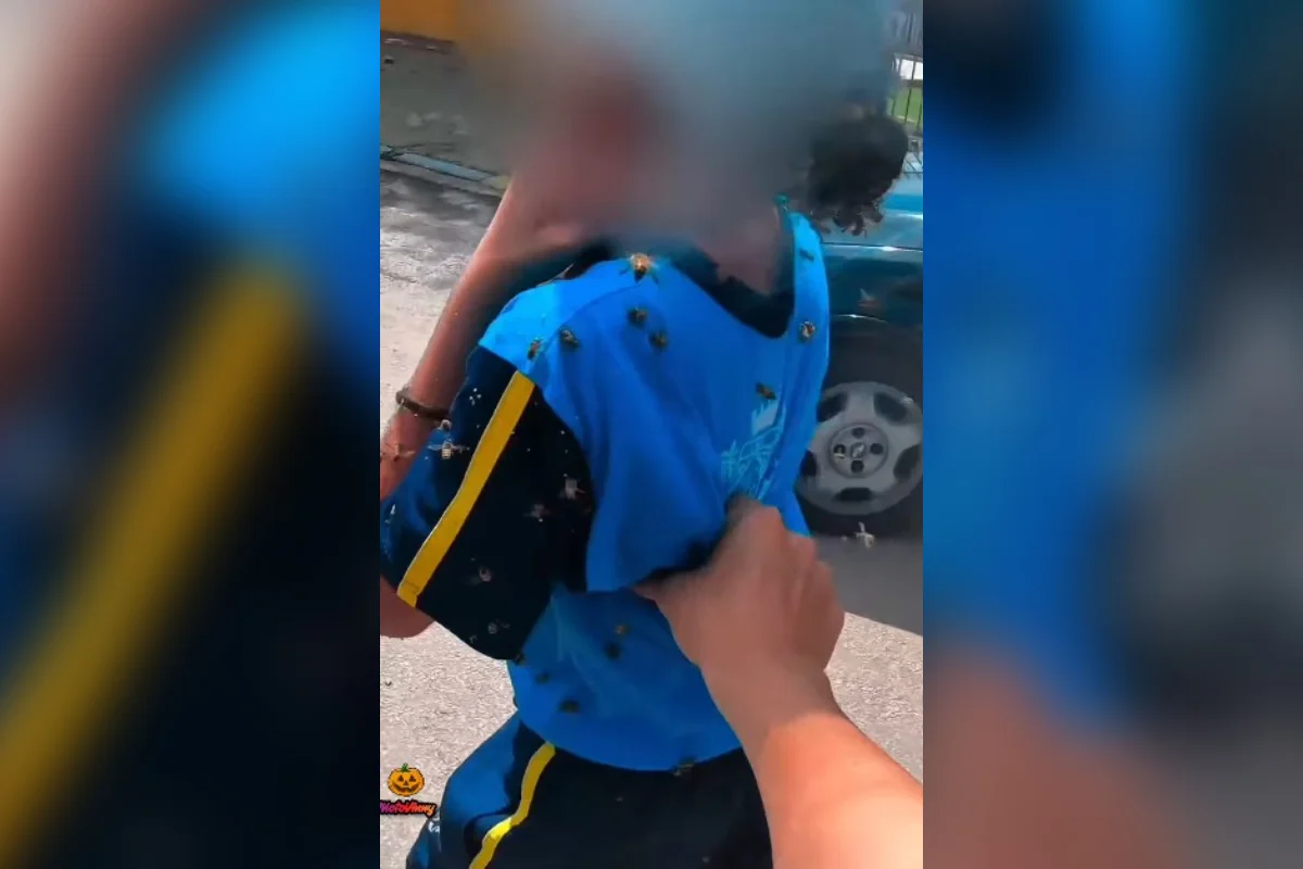 Motoboy salva criança durante ataque de abelhas e leva 40 picadas em MG