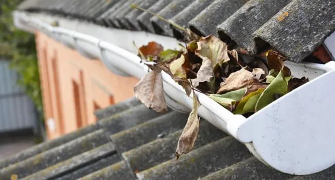 Sua casa está preparada para a primavera? Confira 7 cuidados essenciais