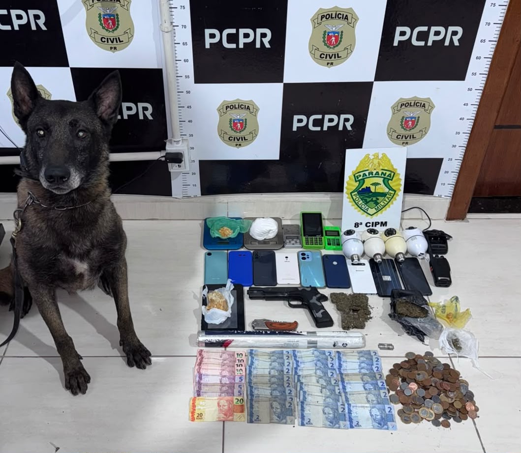 Operação Hydra prende quatro pessoas em Irati; cão farejador de Ponta Grossa ajuda a localizar drogas escondidas