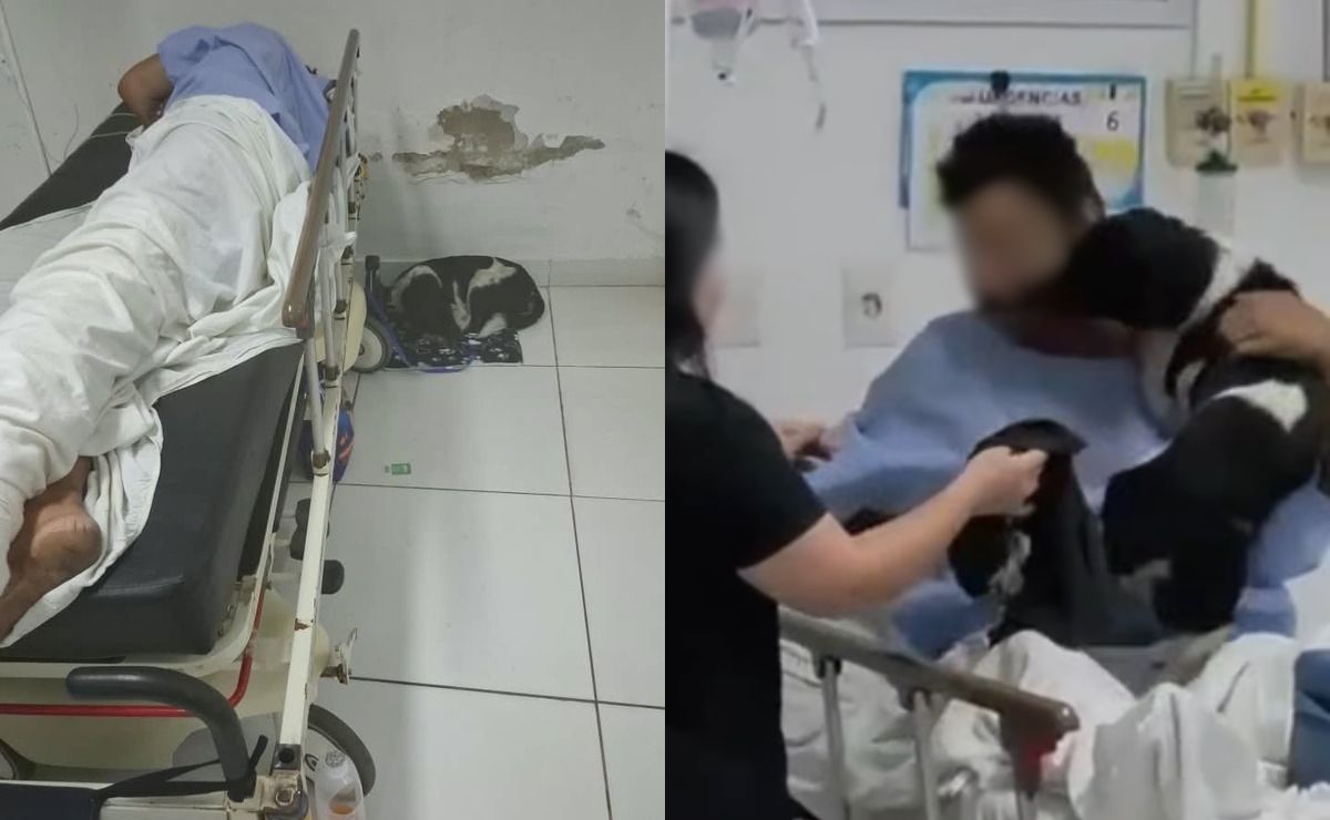 Cachorro se recusa a abandonar tutor após acidente e emociona ao tentar empurrar maca em hospital