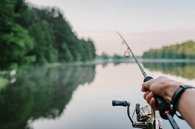 Pesca de espécies nativas será proibida a partir deste domingo (1º); veja as regras e multas