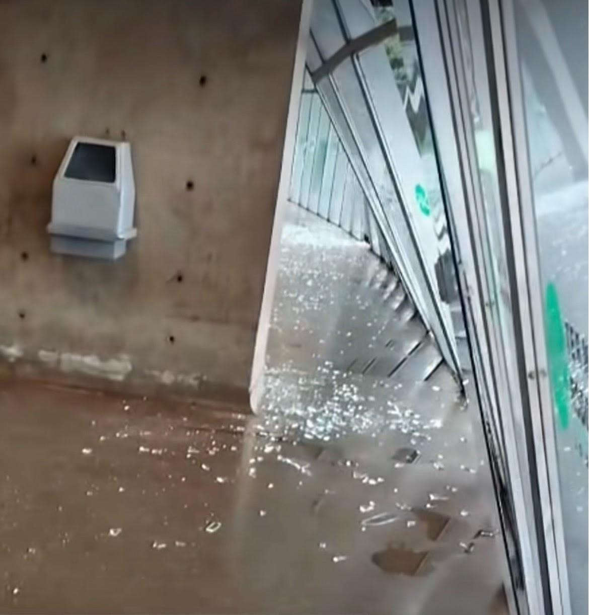Temporal causa estragos e derruba árvores em Londrina
