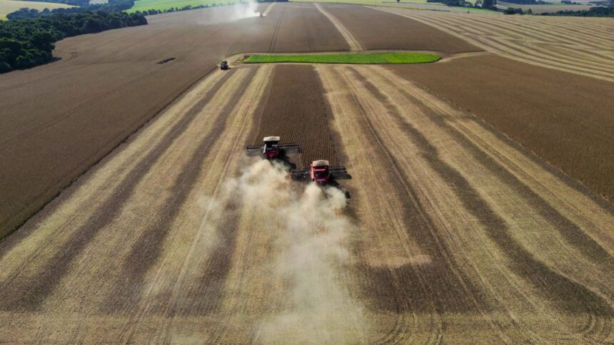 Paraná se destaca no campo e alcança R$ 18,5 bilhões em produção pecuária