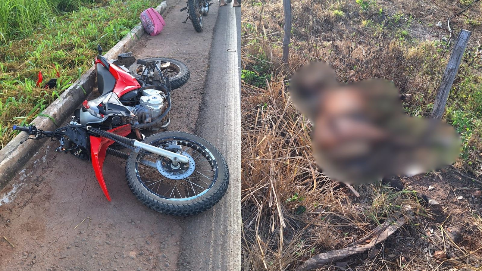 Jovem de 22 anos morre após motocicleta atingir cavalo na PR-239, em Reserva