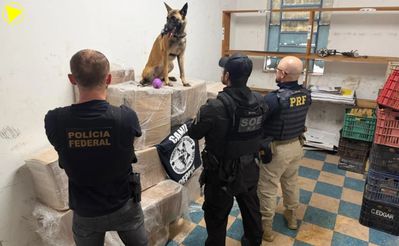 Operação mira grupo suspeito de tráfico de cocaína no Paraná e apreende quase 1 tonelada de droga