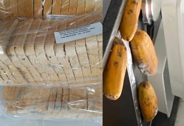 Pães com mofo e alimentos vencidos: empresa da merenda escolar de PG é multada após 17 notificações