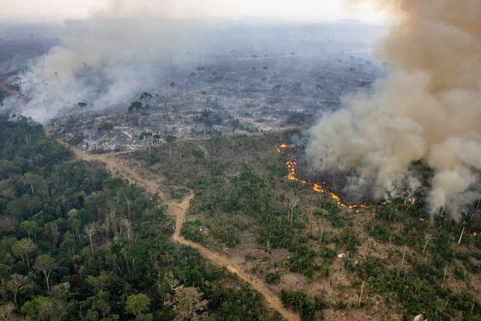 Amazônia registra menor área desmatada em 41 anos, aponta levantamento do MapBiomas