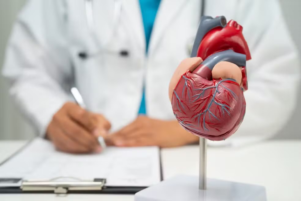 Brasil registra uma morte por doença cardiovascular a cada 72 segundos, aponta levantamento