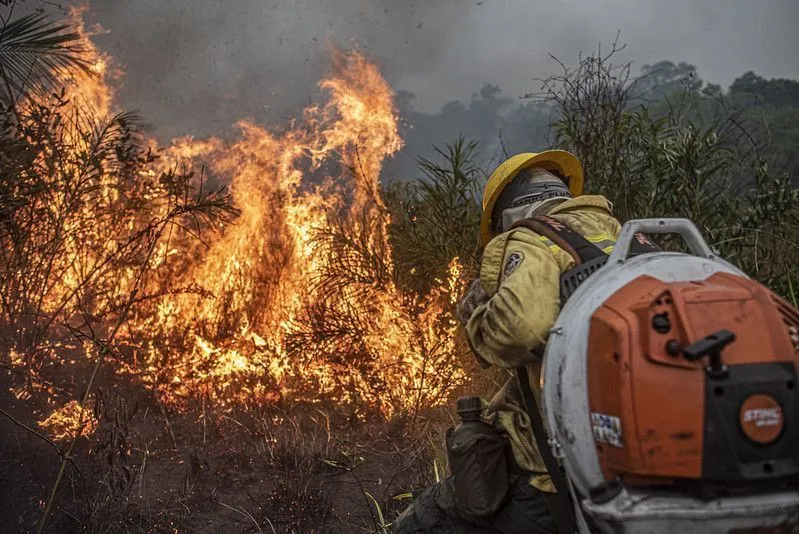 Amazonas reduz focos de incêndio de 494 para 188, mas fumaça ainda preocupa autoridades