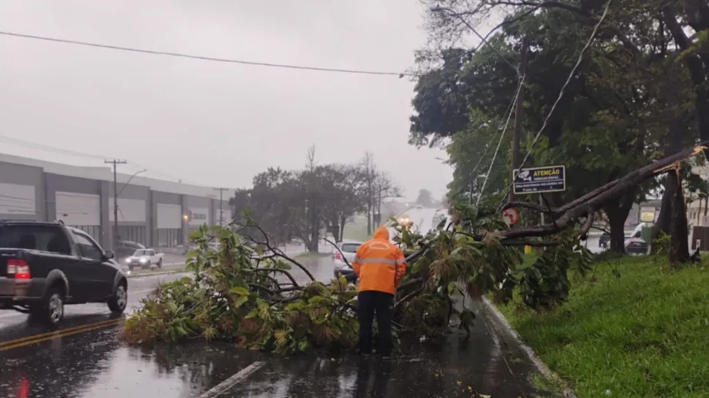 Paraná terá retorno da chuva e risco de tempestades; acumulados podem chegar perto de 100 mm