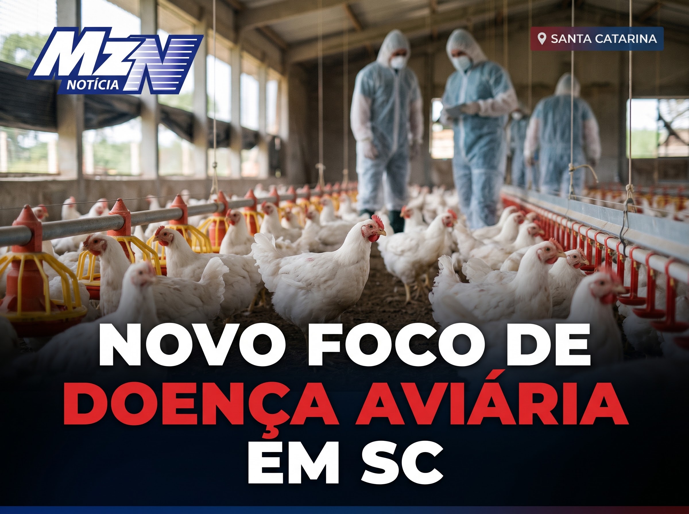 NOVO FOCO DE DOENÇA AVIÁRIA É CONFIRMADO NO SUL DO BRASIL E ACIONA MEDIDAS SANITÁRIAS